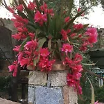 بيت للعطل Pedras House Holidays