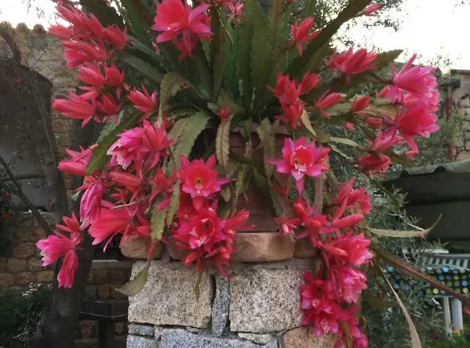 펜션 Pedras House Holidays